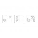 Piano de cuisson SMEG Sinfonia 90 cm Induction